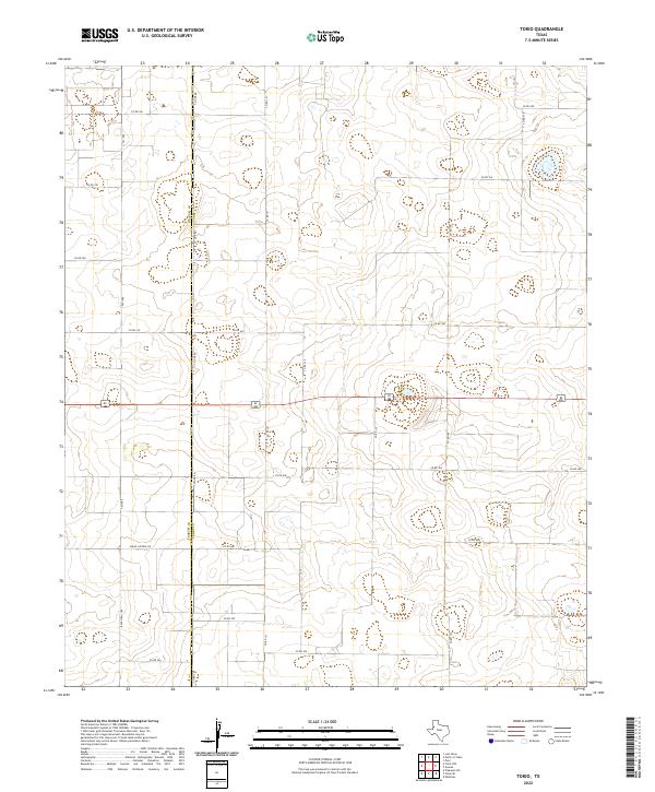 2022 Map of Tokio, 2022 Print