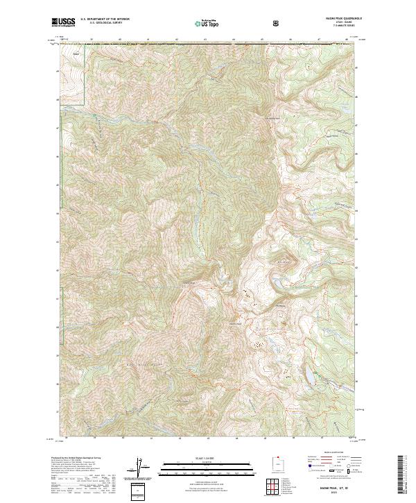 USGS Topographic Map – Naomi Peak