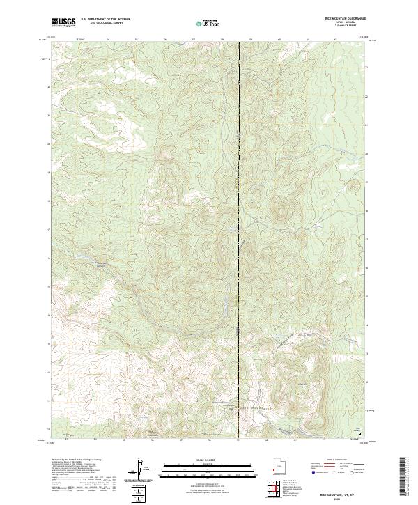 USGS Topographic Map – Rice Mountain