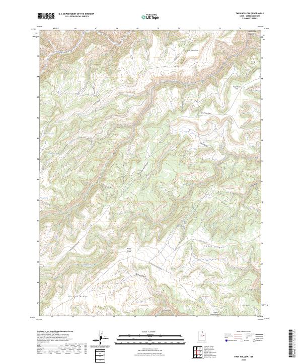USGS Topographic Map – Twin Hollow