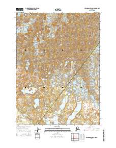 Topo map Bering Glacier A-8 NE Alaska