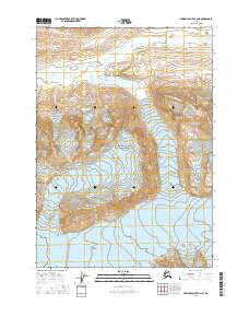 Topo map Bering Glacier C-4 NE Alaska