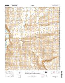 Topo map Chandler Lake D-3 SW Alaska