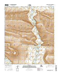 Topo map Chandler Lake D-4 NE Alaska
