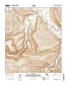 Topo map Chandler Lake D-4 SE Alaska