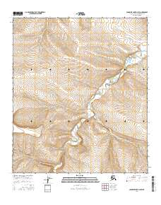 Topo map Chandler Lake D-5 SW Alaska