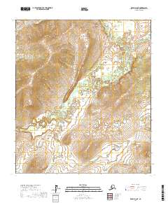 Topo map Denali D-6 NE Alaska