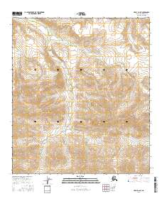 Topo map Healy D-3 NE Alaska