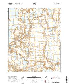 Topo map Ikpikpuk River D-5 NW Alaska
