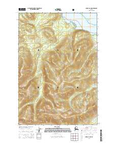 Topo map Juneau A-6 NE Alaska