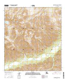 Topo map Mount Hayes B-1 NW Alaska