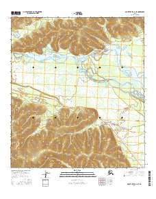 Topo map Mount Hayes C-1 NE Alaska