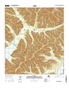 Topo map Mount Hayes D-1 SW Alaska