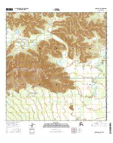 Topo map Nabesna B-1 NE Alaska