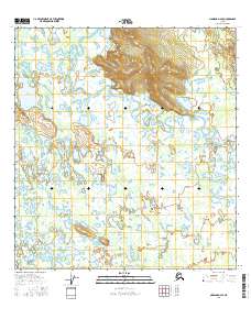 Topo map Nabesna D-2 SE Alaska