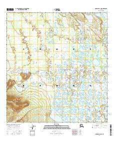 Topo map Nabesna D-2 SW Alaska