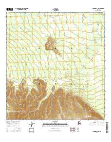 Topo map Nabesna D-3 SW Alaska