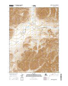 Topo map Survey Pass D-1 NE Alaska