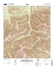 Topo map Tanacross B-3 NE Alaska