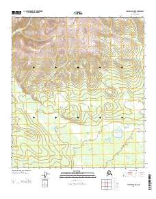 Topo map Tanacross D-5 NE Alaska