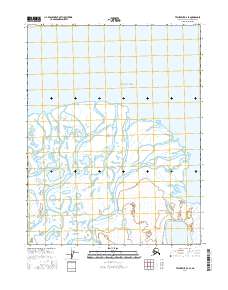 Topo map Teshekpuk D-3 SE Alaska