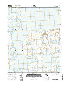 Topo map Teshekpuk D-5 SW Alaska