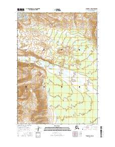 Topo map Tyonek A-6 NE Alaska