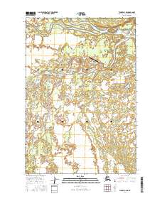Topo map Tyonek D-4 NE Alaska