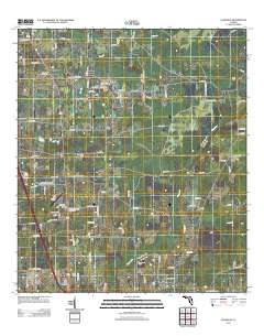 2012 Map of Ellisville, 2012 Print