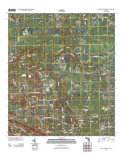 2012 Map of White Springs East, 2012 Print