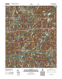 2010 Map of Camp Hill, 2010 Print