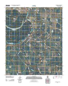 2011 Map of Gunnison, 2011 Print