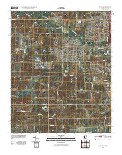 2010 Map of Horn Lake, 2010 Print