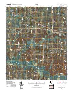 2010 Map of Mount Pleasant, 2010 Print