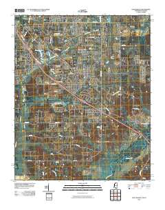 2010 Map of Olive Branch, 2010 Print