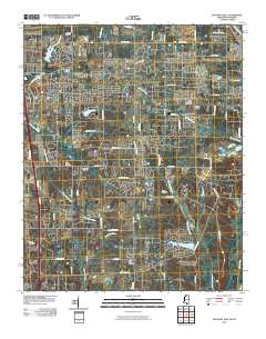 2010 Map of Pleasant Hill, 2010 Print