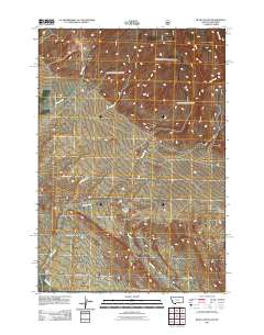 2011 Map of Bear Canyon, 2011 Print