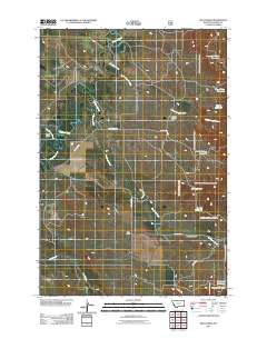 2011 Map of Belltower, 2011 Print