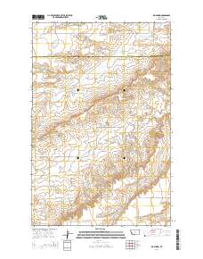 2014 Map of Big Spring, 2014 Print