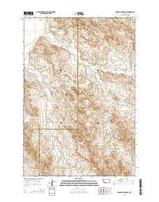 2014 Map of Blacktail Creek SW, 2014 Print