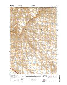2014 Map of Blue Spring, 2014 Print
