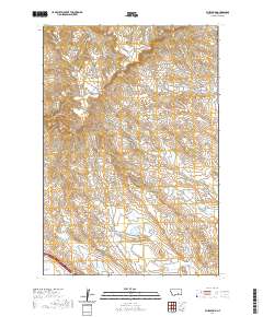 2020 Map of Blue Spring, 2020 Print