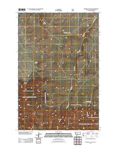 2011 Map of Browns Canyon, 2011 Print