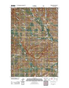 2011 Map of Byrne Creek, 2011 Print