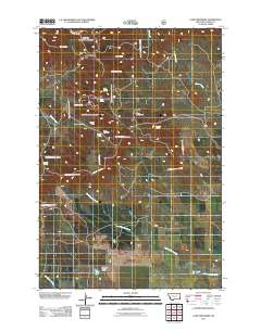 2011 Map of Camp Needmore, 2011 Print
