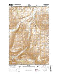 2014 Map of Cayuse Basin, 2014 Print