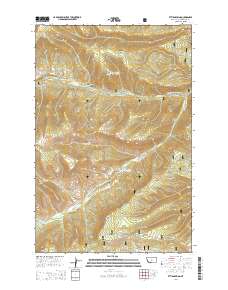 2014 Map of Ettien Spring, 2014 Print