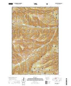 2020 Map of Ettien Spring, 2020 Print