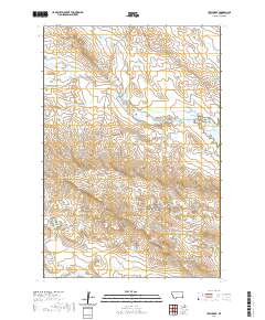 2020 Map of Ikey Creek, 2020 Print