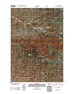 2011 Map of Indian Spring, 2011 Print